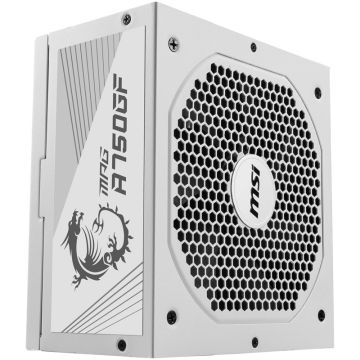 MSI MPG A750GF White 80 PLUS Gold, ATX 2.4 - 750 Watt (306-7ZP0B30-CE0)