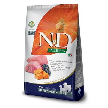 Farmina N&D Pumpkin Pet Food Lamb and Blueberry Adult Medium and Maxi 12kg (8010276033369)