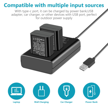 Neewer NP-FW50 2 pcs, 1100 mAh FW50 Battery + Dual USB Charger