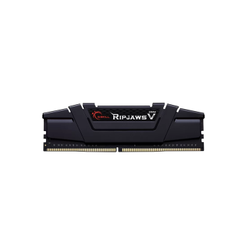 G.Skill 32GB (2x16GB) DDR4 3200 MHz (F4-3200C16D-32GVK)