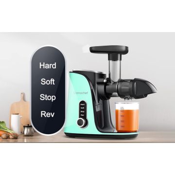 Amzchef Slow Speed Juicer Green (GM3001-GN)