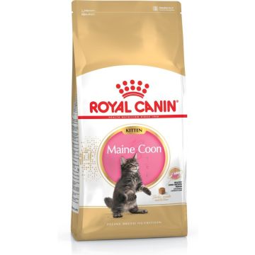 Royal Canin Maine Coon Kitten 4kg