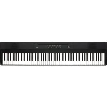 Korg Liano